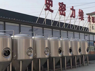 花都精酿啤酒设备厂—市场规模与跨界新需求